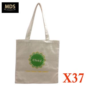TÚI CANVAS MS X37