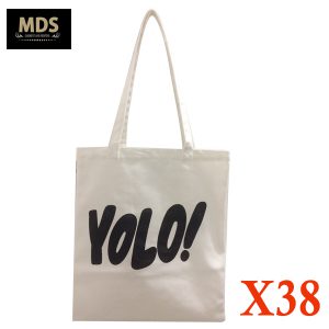 TÚI CANVAS MS X38